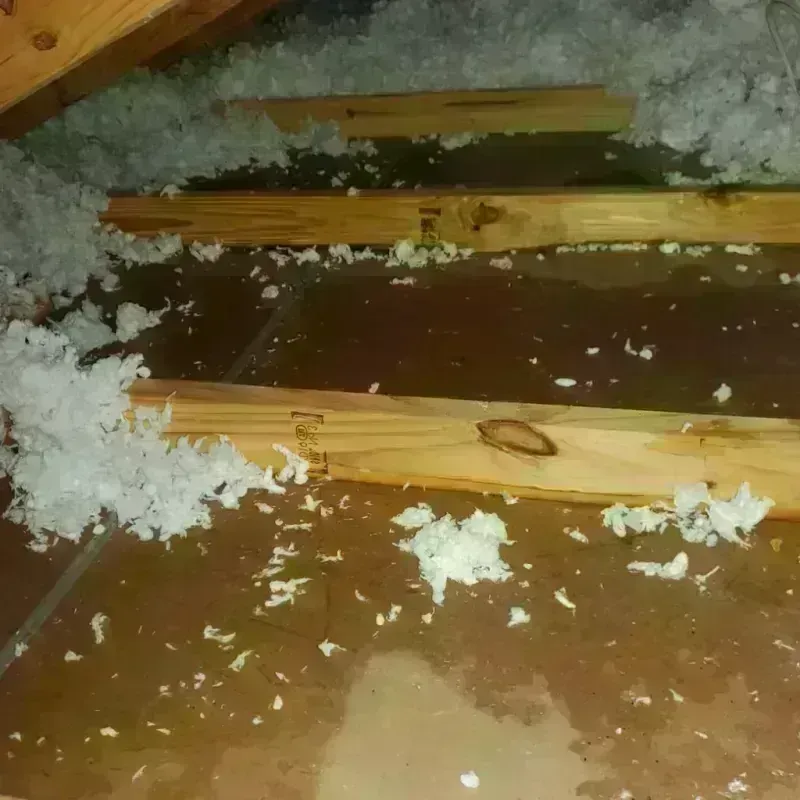 Attic Water Damage in Union, OH